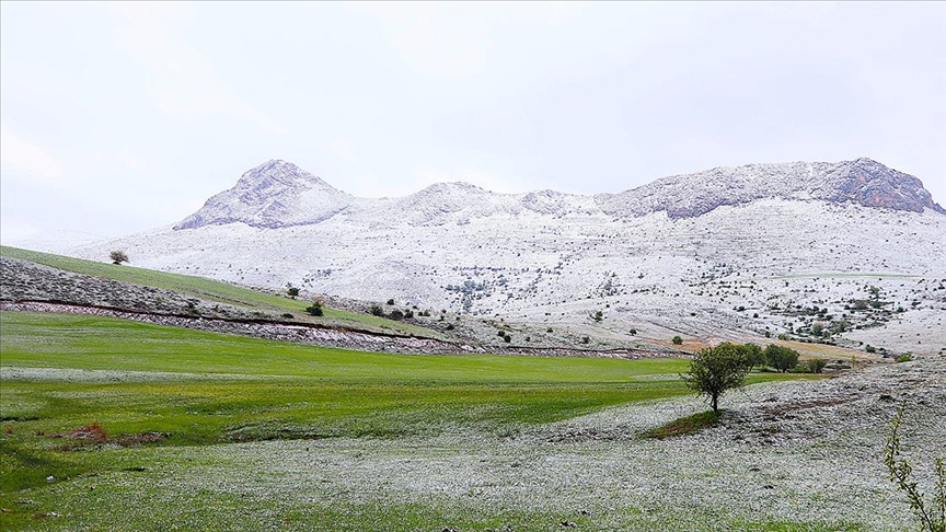 Bayburt, Gümüşhane ve Ordu'nun yüksek kesimlerinde kar etkili oldu