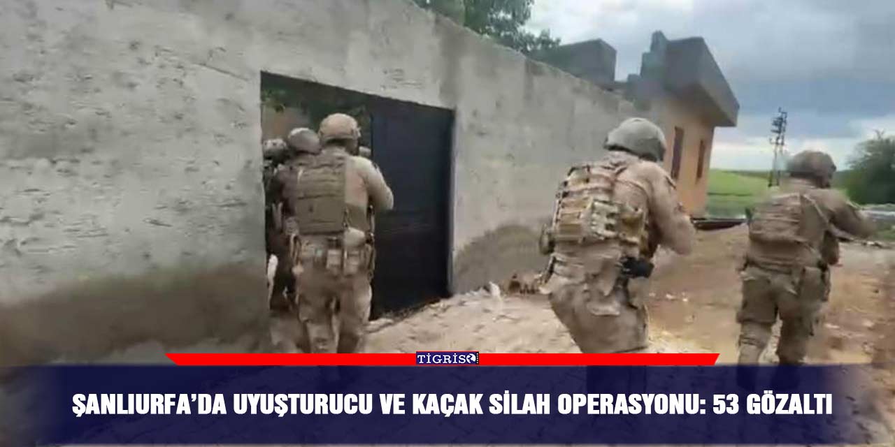 Şanlıurfa’da uyuşturucu ve kaçak silah operasyonu: 53 gözaltı