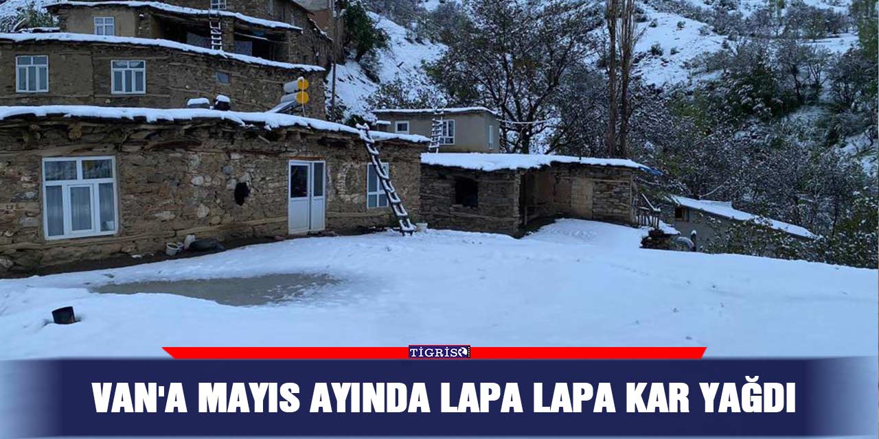 Van'a Mayıs ayında lapa lapa kar yağdı