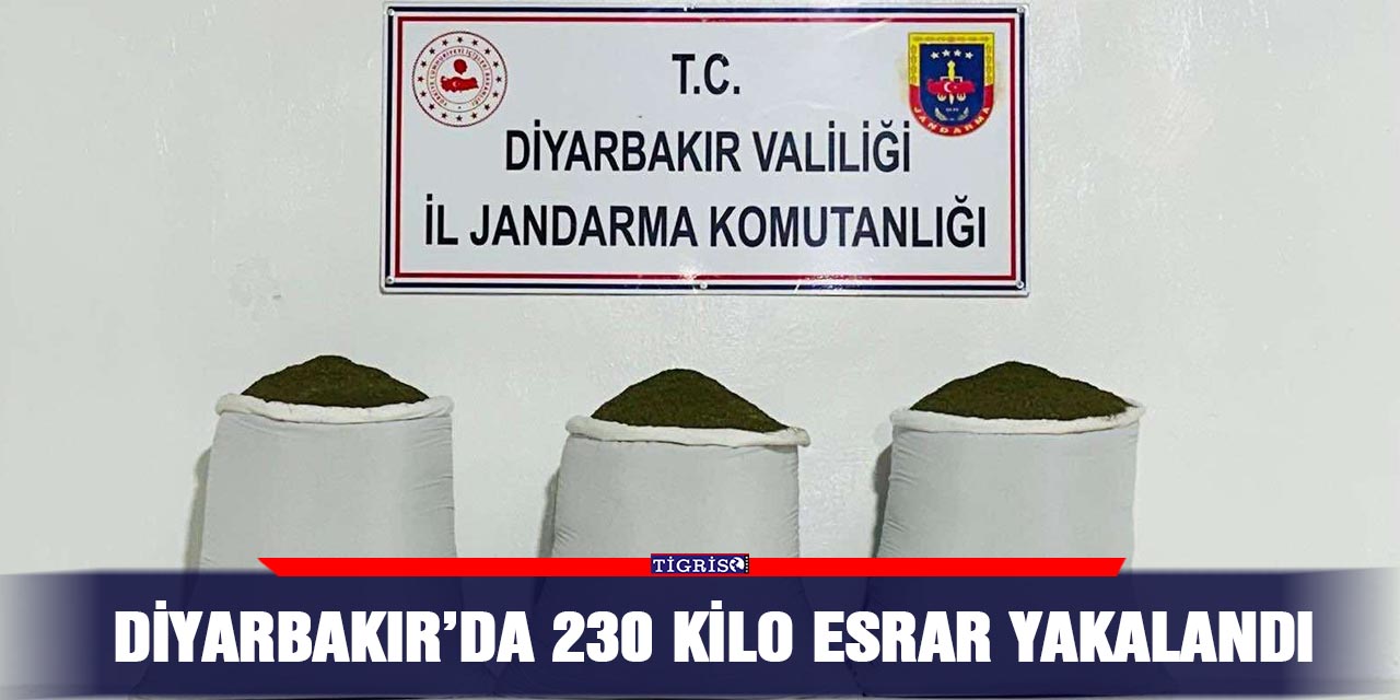 Diyarbakır’da 230 kilo esrar yakalandı