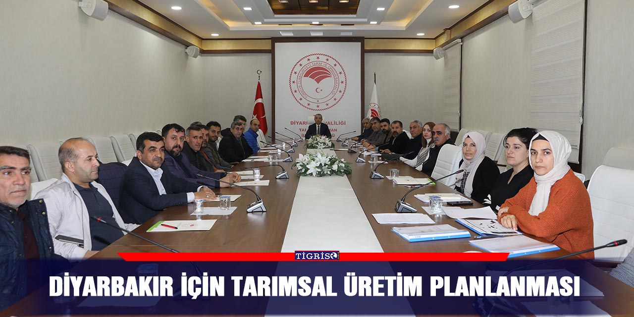Diyarbakır için Tarımsal Üretim Planlanması