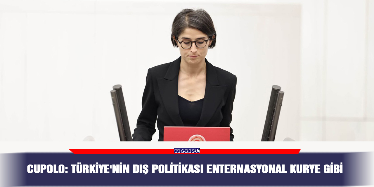 Cupolo: Türkiye'nin dış politikası Enternasyonal kurye gibi