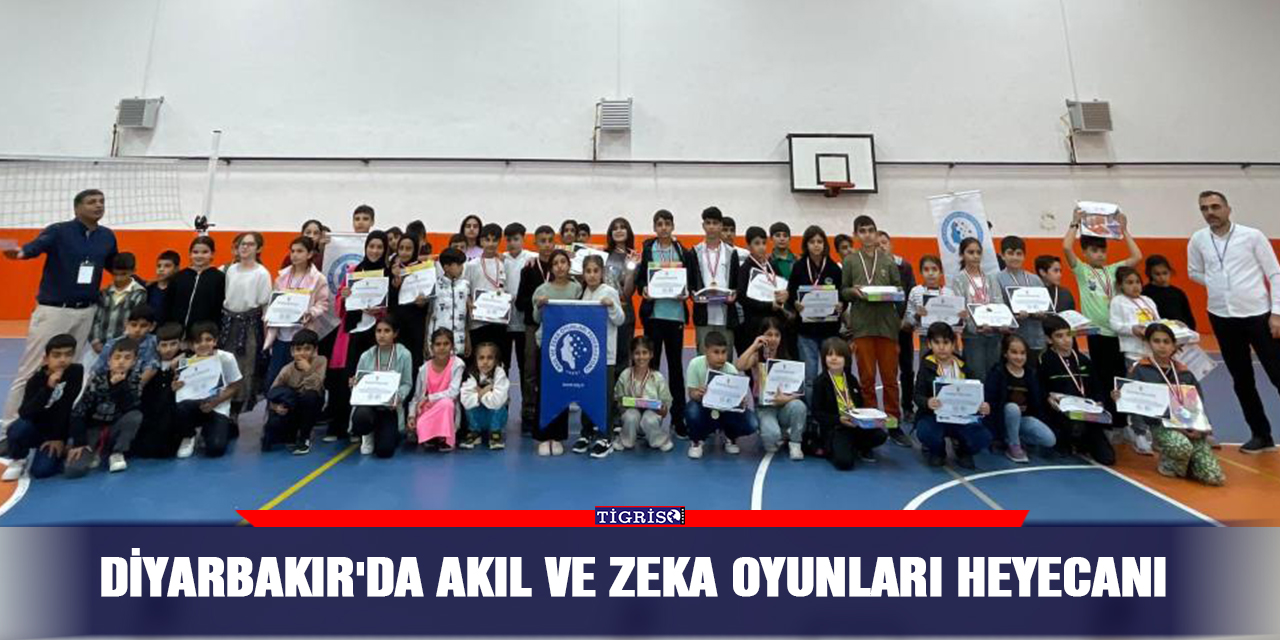 Diyarbakır'da akıl ve zeka oyunları heyecanı
