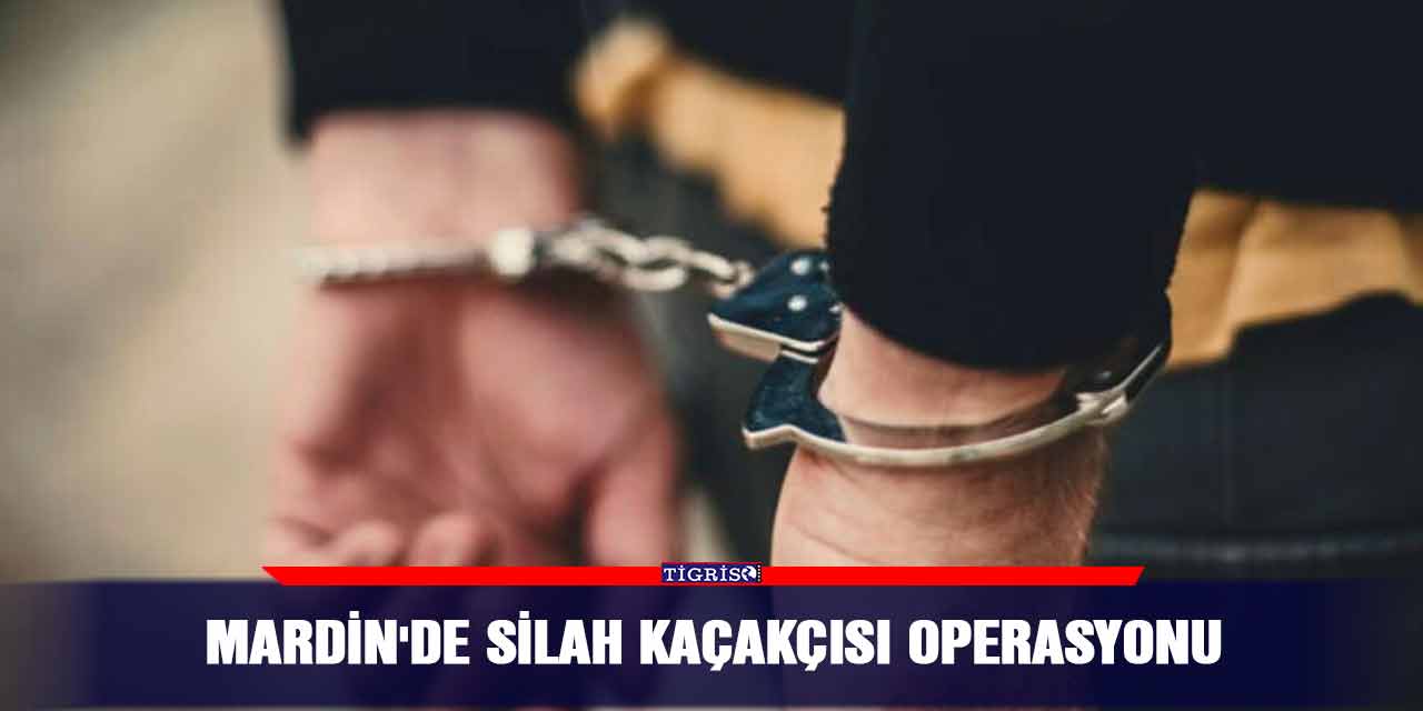 Mardin'de silah kaçakçısı operasyonu