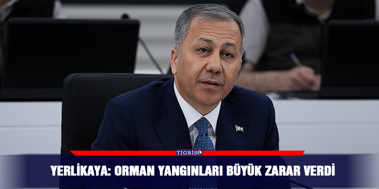 Yerlikaya: Orman yangınları büyük zarar verdi