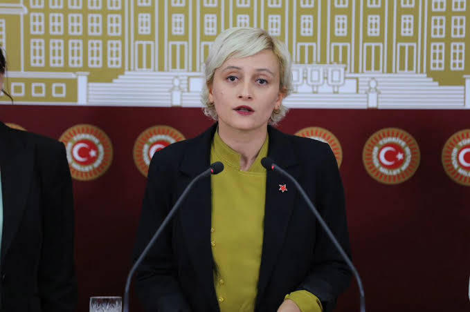 DEM Parti'den Perihan Koca iddialarına yanıt