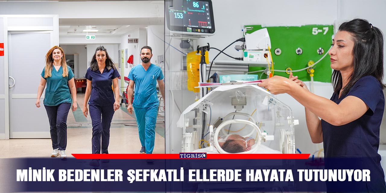Minik bedenler şefkatli ellerde hayata tutunuyor