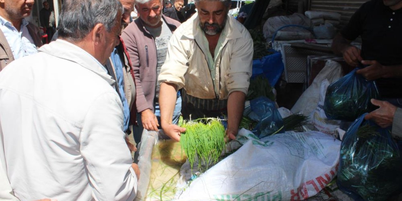 Peynir yapımında kullanılan ’Sirik’ otu tezgâhlardaki yerini aldı
