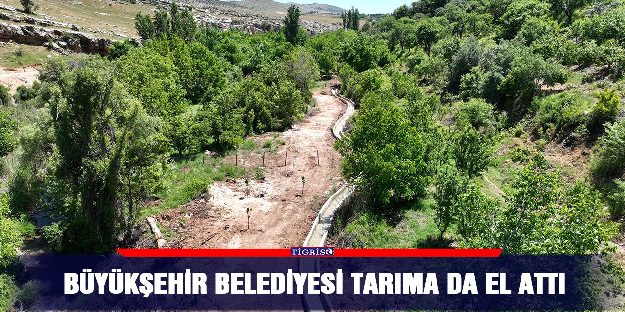 Büyükşehir Belediyesi tarıma da el attı