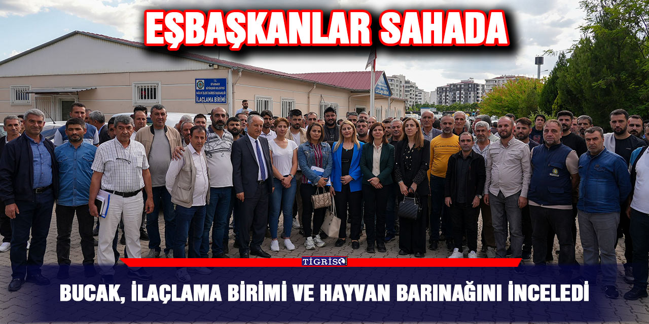 Bucak, ilaçlama birimi ve hayvan barınağını inceledi