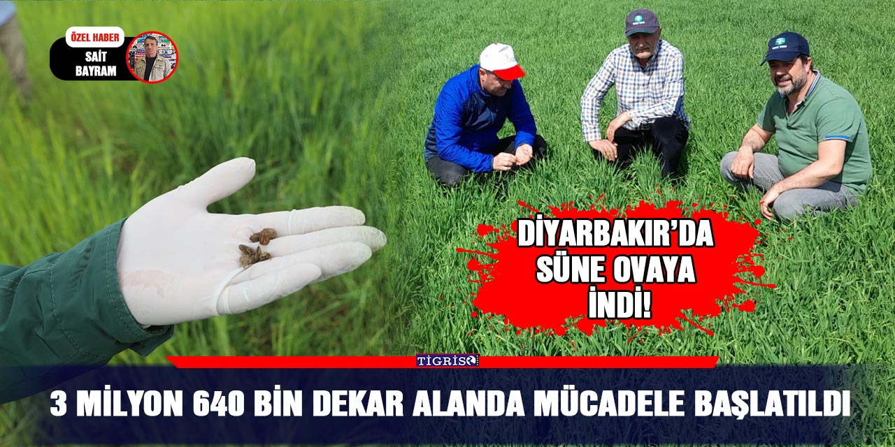 VİDEO - 3 milyon 640 bin dekar alanda mücadele başlatıldı