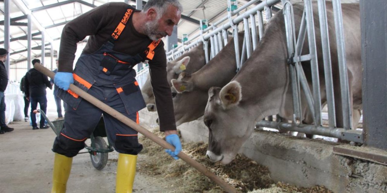 Tarımsal uygulama merkezinde hayvansal ürünler elde edilecek