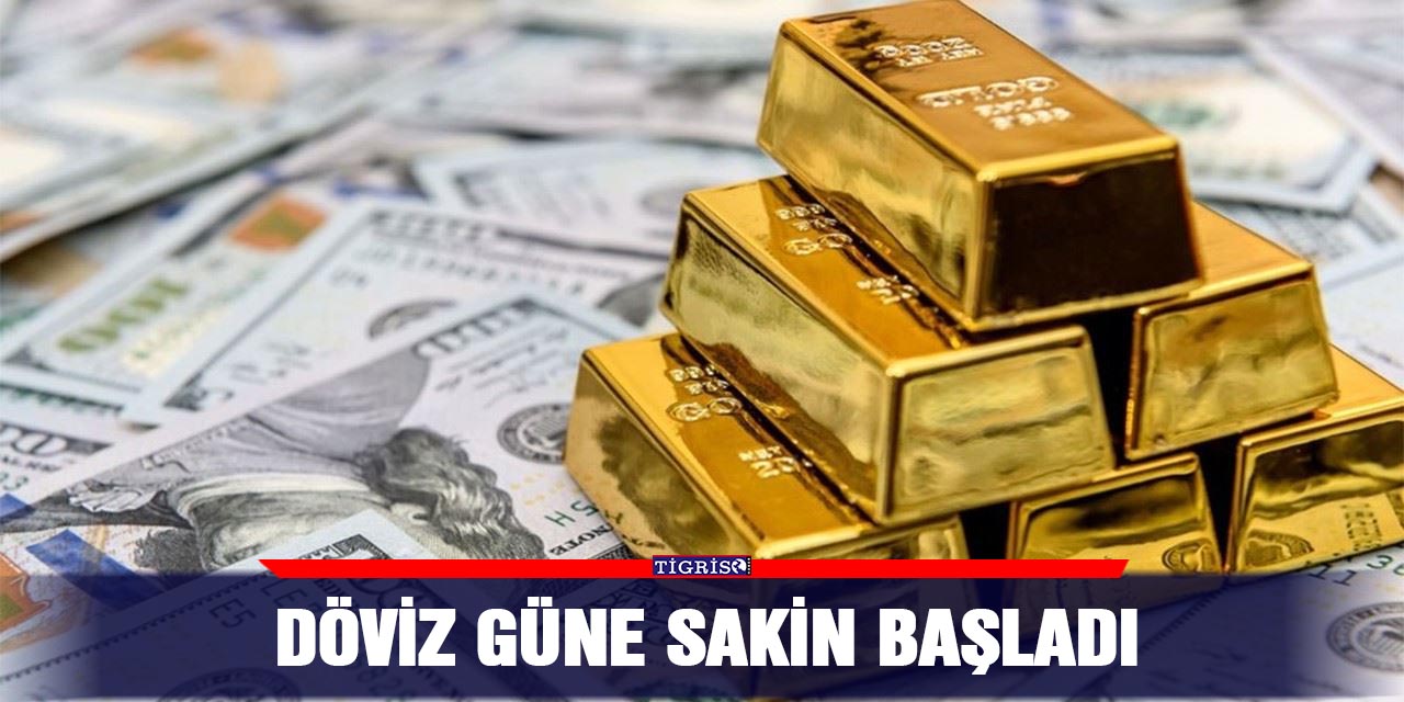 Döviz güne sakin başladı
