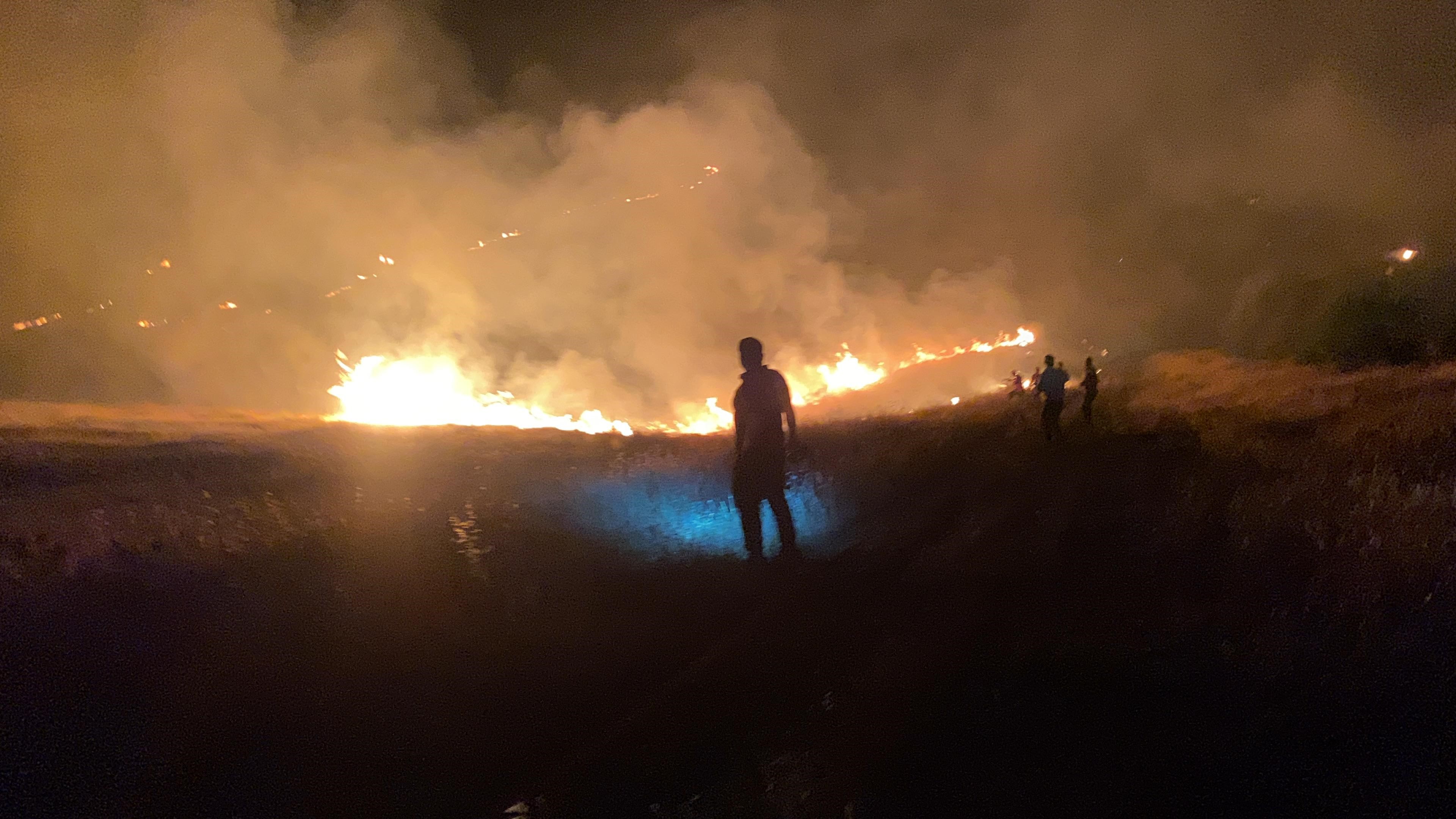 Urfa'da orman yangını