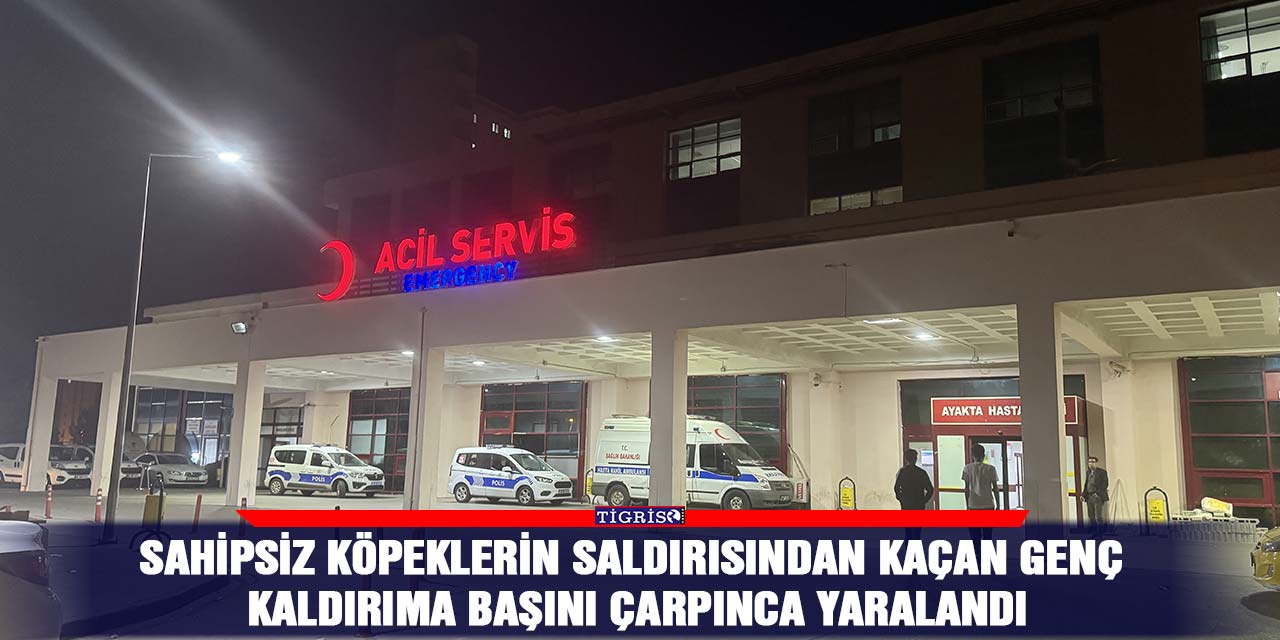 VİDEO - Sahipsiz köpeklerin saldırısından kaçan genç kaldırıma başını çarpınca yaralandı