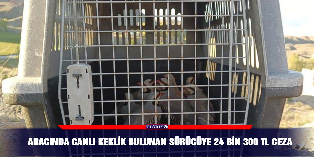 Aracında canlı keklik bulunan sürücüye 24 bin 300 TL ceza