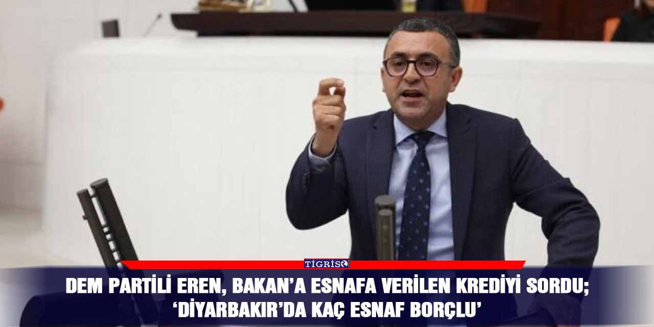 DEM partili Eren, Bakan’a esnafa verilen krediyi sordu