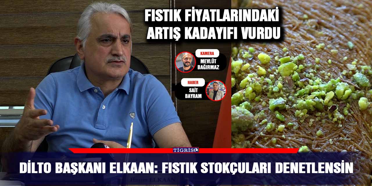 VİDEO - DİLTO Başkanı Elkaan: Fıstık stokçuları denetlensin