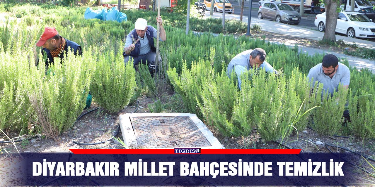 Diyarbakır Millet Bahçesinde temizlik
