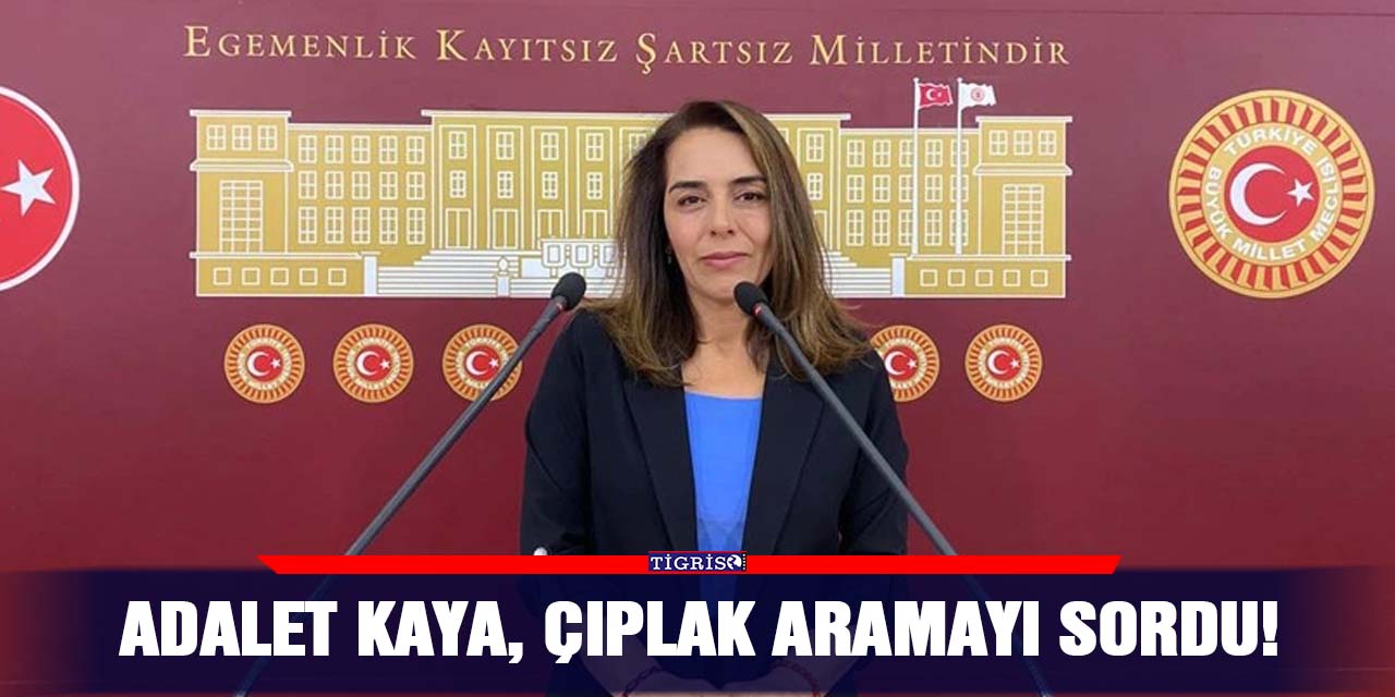 Adalet Kaya, çıplak aramayı sordu!