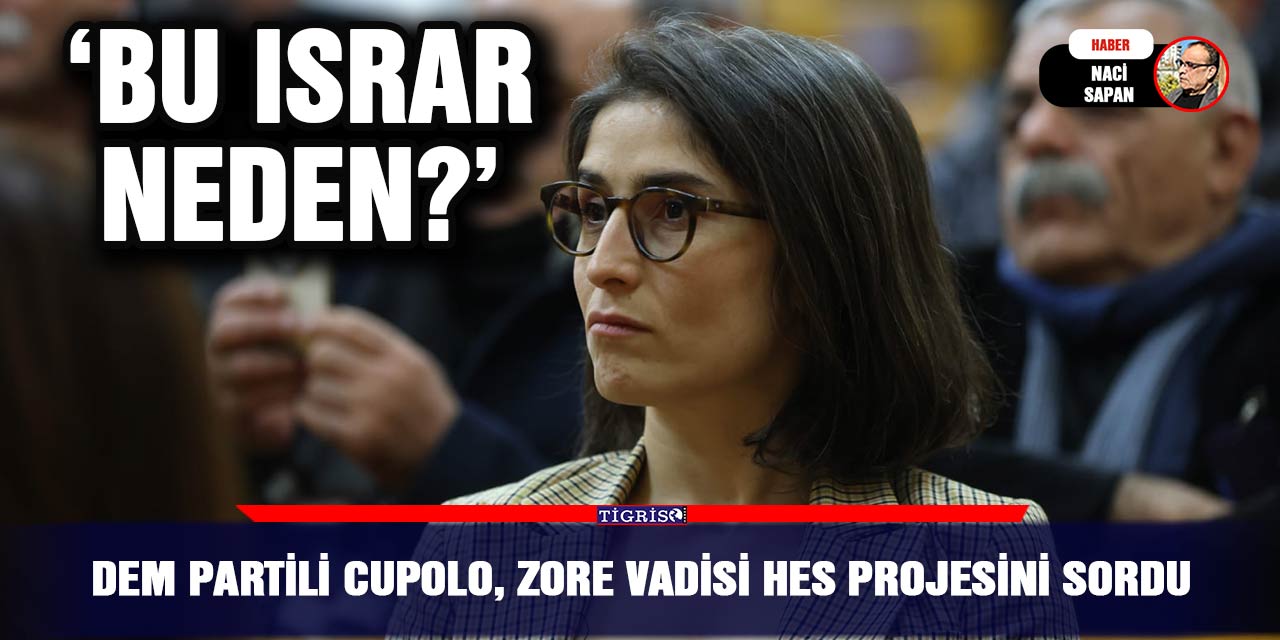 DEM Partili Cupolo, Zore vadisi HES projesini sordu; ‘Bu ısrar neden?’