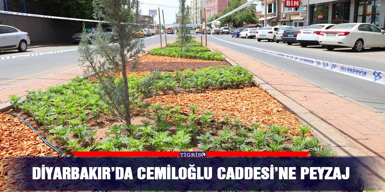 Diyarbakır’da Cemiloğlu Caddesi’ne peyzaj