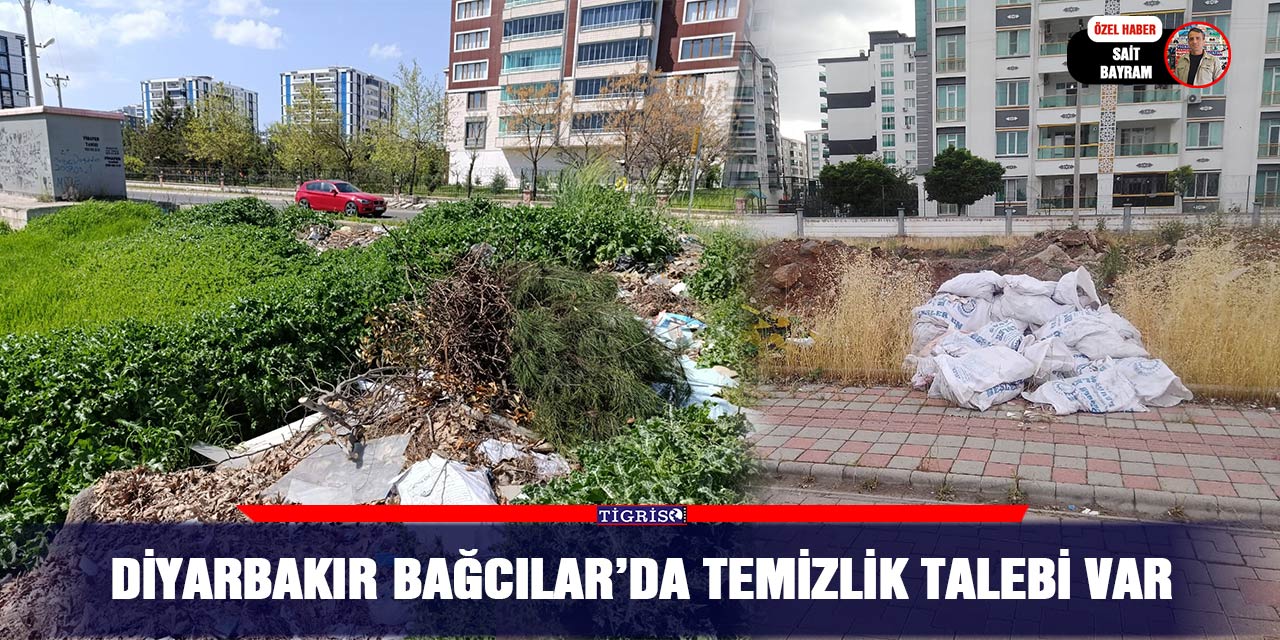 Diyarbakır Bağcılar’da temizlik talebi var