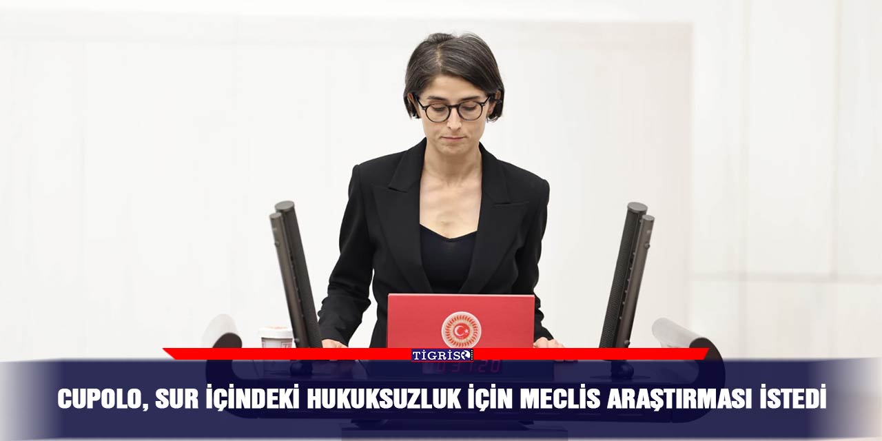 Cupolo, Sur içindeki hukuksuzluk için Meclis araştırması istedi