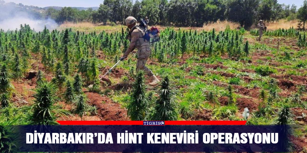 Diyarbakır’da Hint keneviri operasyonu
