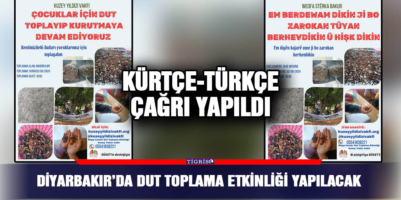 Diyarbakır’da dut toplama etkinliği yapılacak