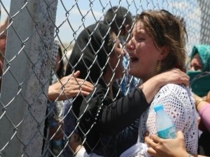 Gelê kurd berê xwe dide Rojava