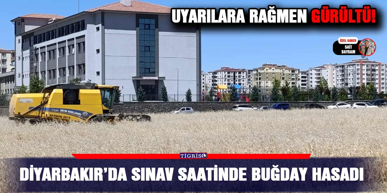 Diyarbakır’da sınav saatinde buğday hasadı