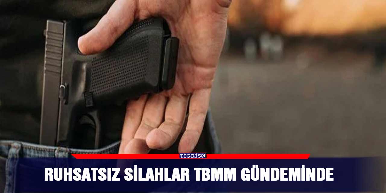 Ruhsatsız silahlar TBMM gündeminde