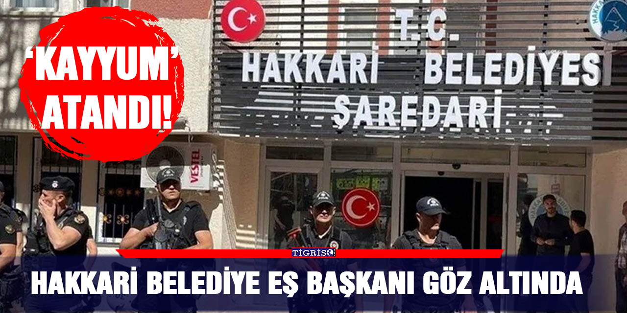 Hakkari Belediye eş başkanı göz altında