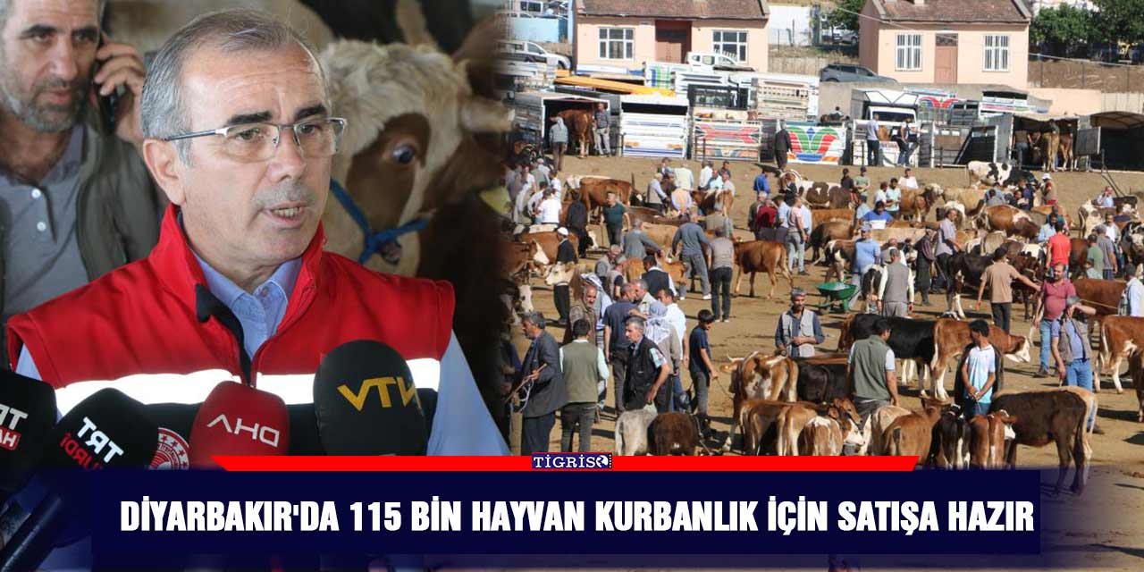 Diyarbakır'da 115 bin hayvan kurbanlık için satışa hazır
