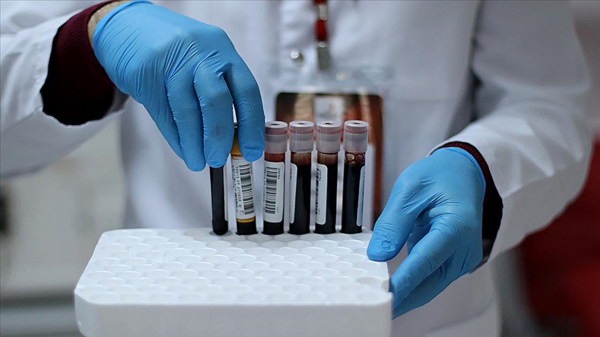 Hayata 5-0 önde başlayan kan grubu belli oldu!