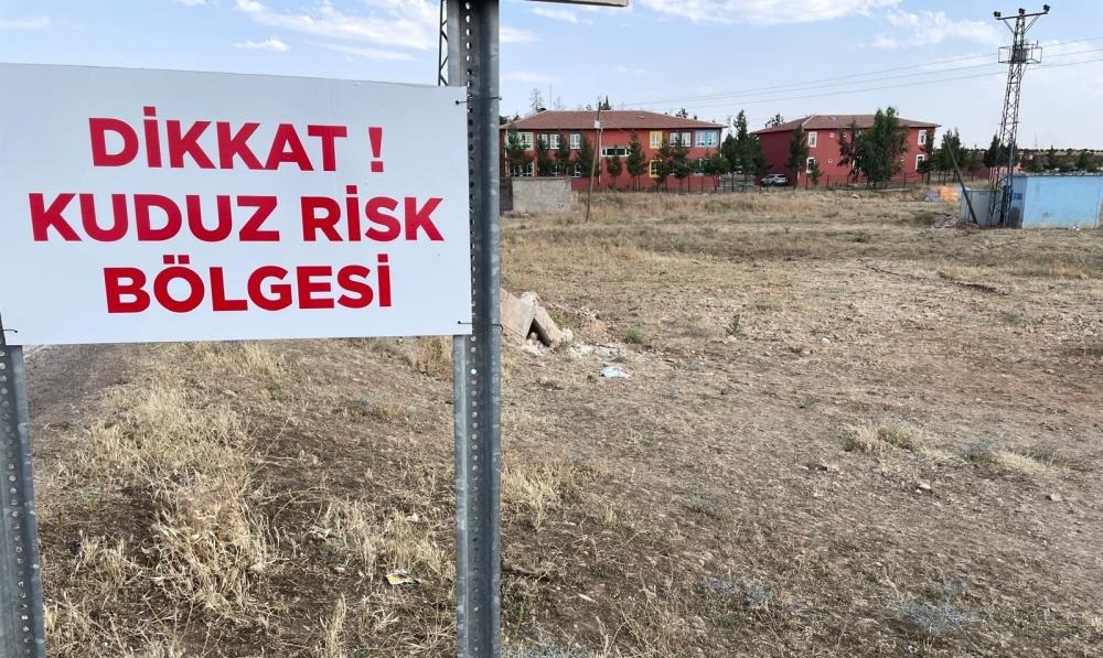 Kuduz alarmı: 2 mahalle karantinaya alındı