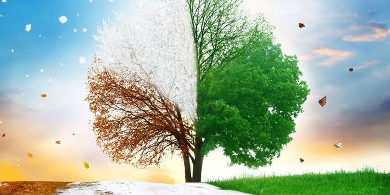 Araştırmacılar doğum ayımız ve sağlık arasındaki bağlantıyı açıkladı