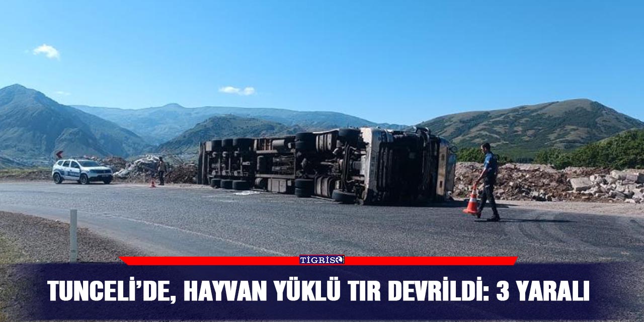Tunceli’de, hayvan yüklü tır devrildi: 3 yaralı
