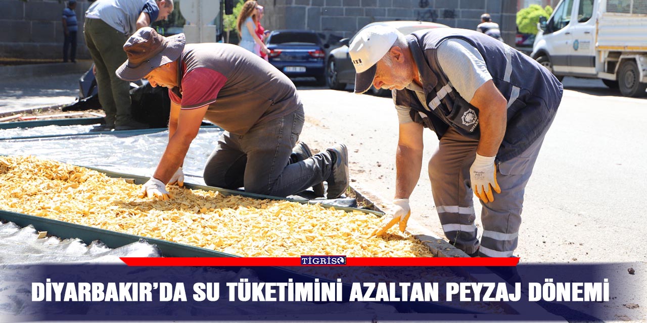 Diyarbakır’da su tüketimini azaltan peyzaj dönemi