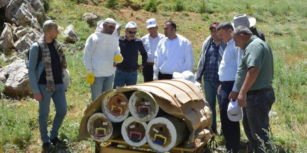 Dünyanın en kaliteli balını elde etmek için çalışıyorlar