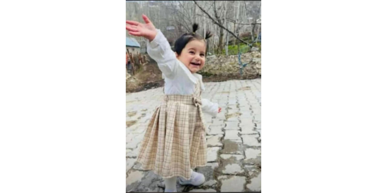 Balkondan düşen 3 yaşındaki Elisa, hayatını kaybetti