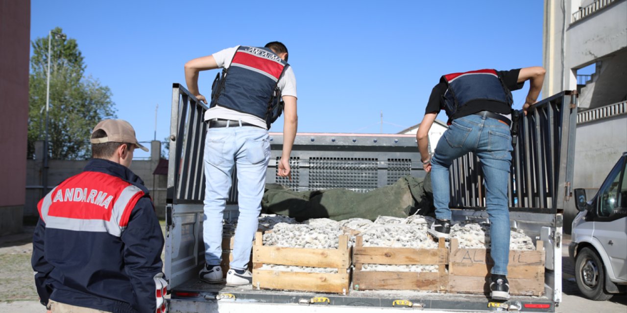 5 ton inci kefali ele geçirildi