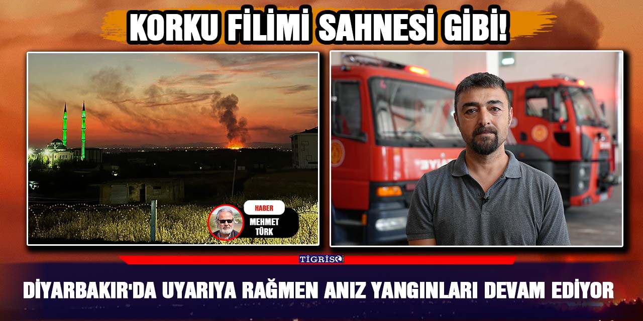 Diyarbakır'da uyarıya rağmen anız yangınları devam ediyor