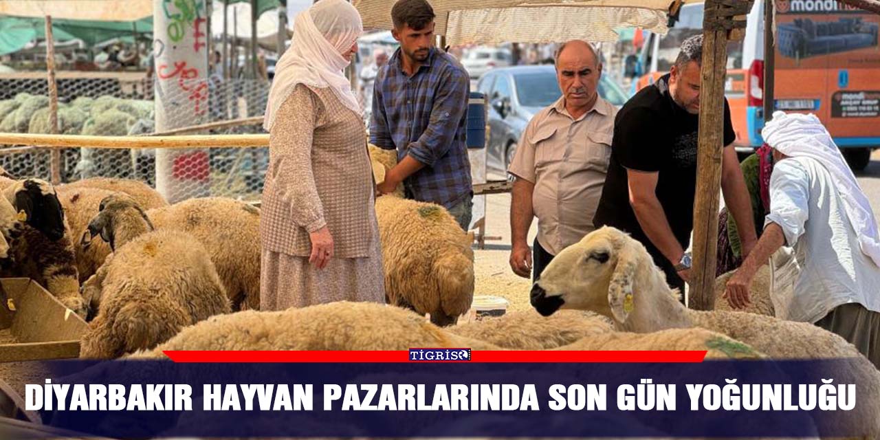 Diyarbakır hayvan pazarlarında son gün yoğunluğu