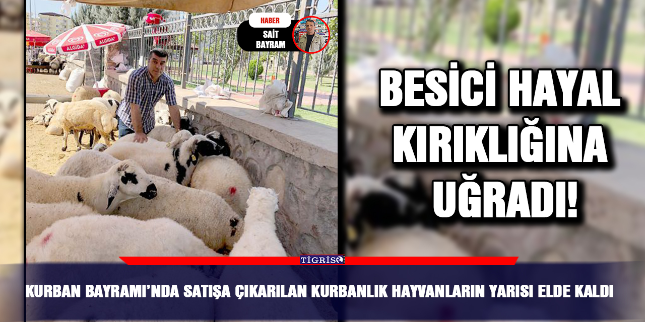 Besici hayal kırıklığına uğradı!