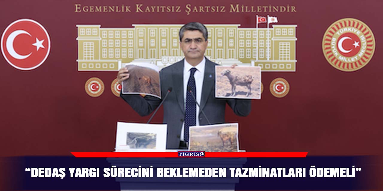 “DEDAŞ yargı sürecini beklemeden tazminatları ödemeli”