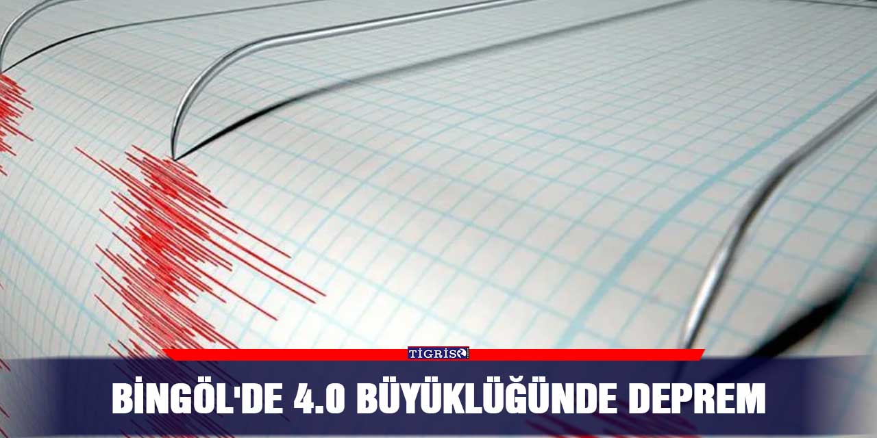 Bingöl'de 4.0 büyüklüğünde deprem