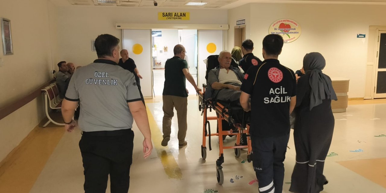 Siirt'te yılanın soktuğu kişi hastaneye kaldırıldı