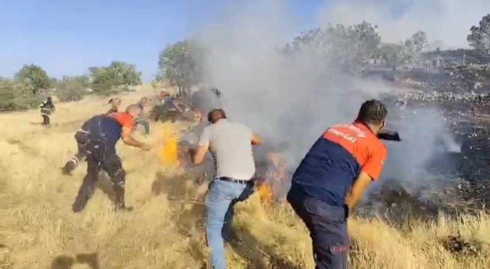 Mardin’de 3 ayrı noktada anız yangını